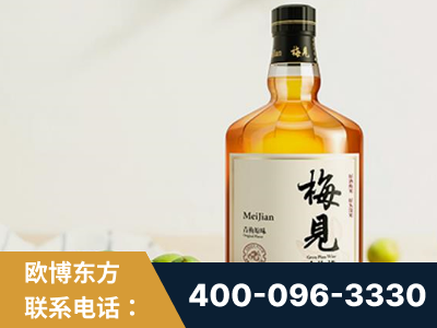 亳州-梅见青梅酒